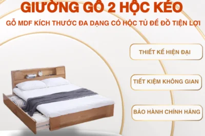 Giường gỗ 2 hộc kéo Nestly Home gỗ MDF kích thước đa dạng có hộc tủ để đồ tiện lợi