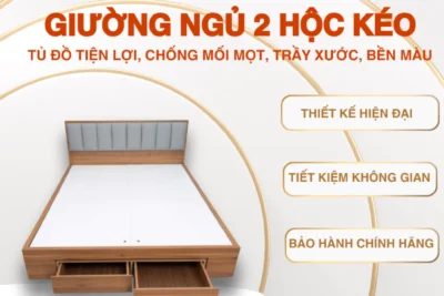 Giường ngủ 2 hộc kéo Nestly Home gỗ MDF tủ đồ tiện lợi, chống mối mọt, trầy xước, bền màu