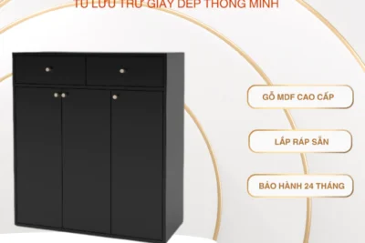 Tủ Decor, Tủ Lưu Trữ Giày Dép Thông Minh, Tủ Gỗ Đa Năng MDF Cao Cấp, Lắp Ráp Sẵn D90xR35xC100cm